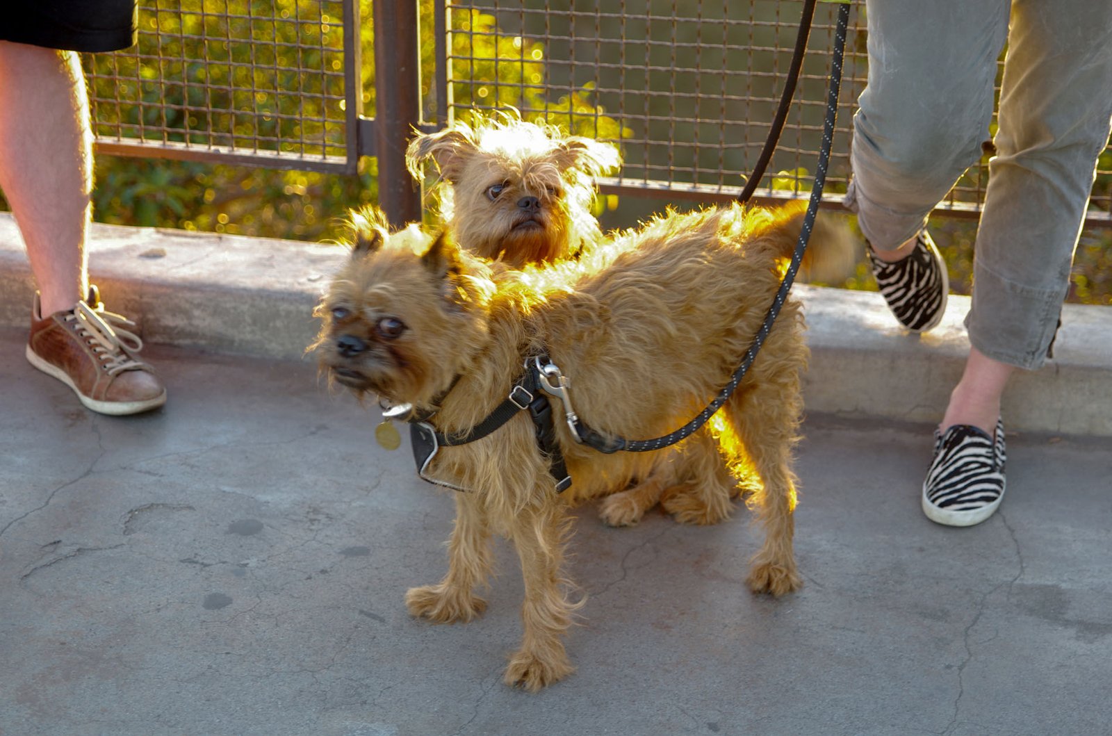 Griffith Observatory  061
